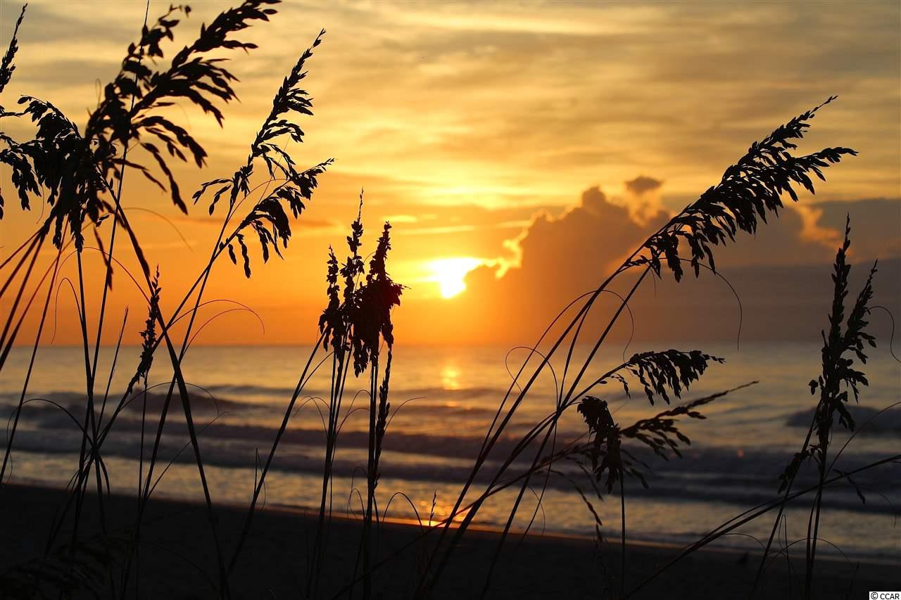 5555 Whitebark Drive Myrtle Beach, SC 29577 - Photo 15 of 22