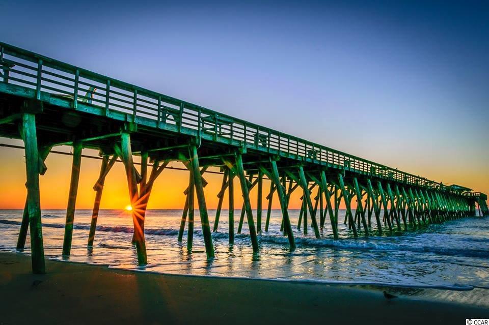 5555 Whitebark Drive Myrtle Beach, SC 29577 - Photo 19 of 22