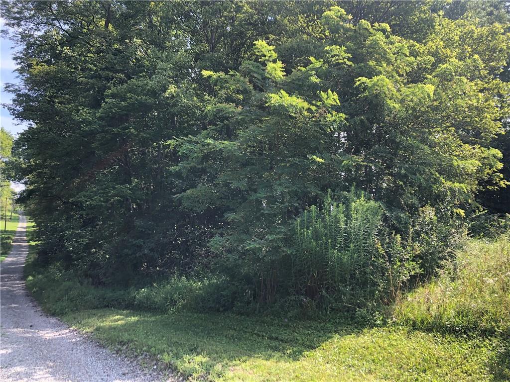 230 Locust Road Addison, PA 15411 - Photo 40 of 43 a view of a forest