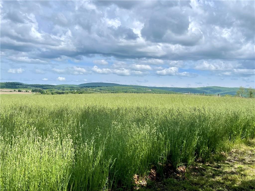 230 Locust Road Addison, PA 15411 - Photo 7 of 43 a view of an outdoor space and a lake view