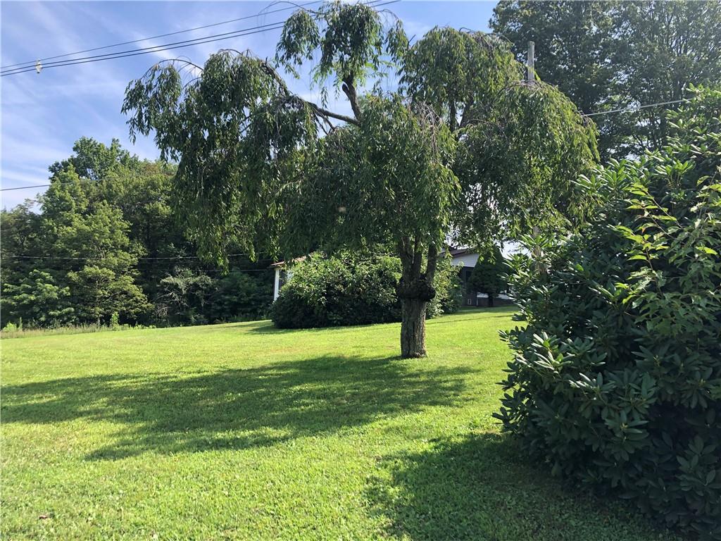 230 Locust Road Addison, PA 15411 - Photo 8 of 43 a view of an trees with a yard