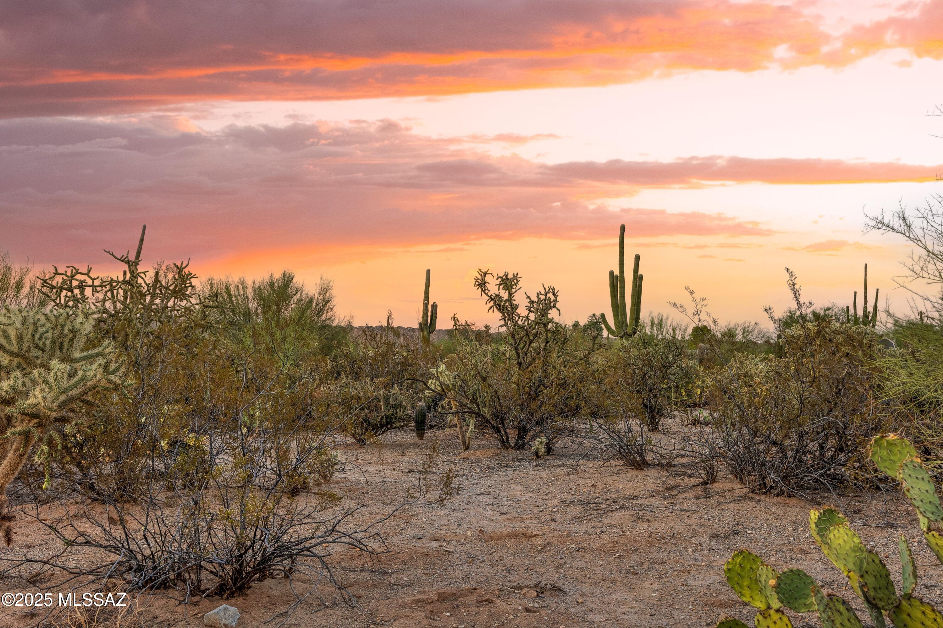 0 West Massingale Road Tucson, AZ 85743 - Photo 4 of 19