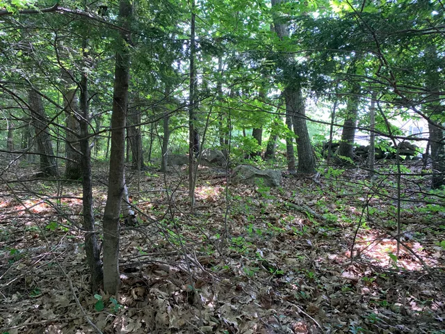 $225,000 | Lot 12 Hallowell Road, Litchfield, ME 04350