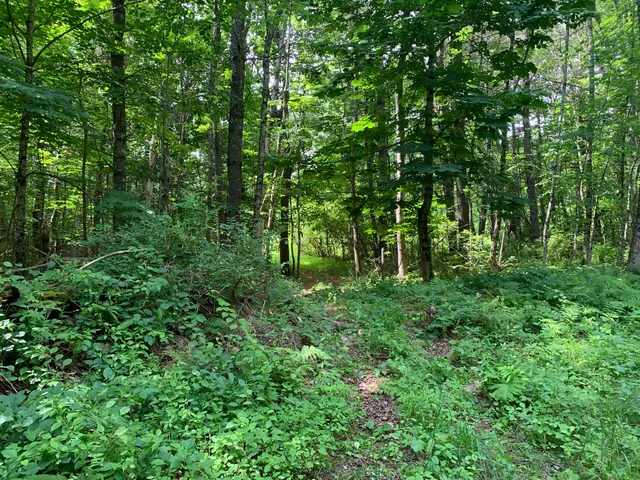$225,000 | Lot 12 Hallowell Road, Litchfield, ME 04350