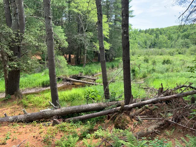 $225,000 | Lot 12 Hallowell Road, Litchfield, ME 04350