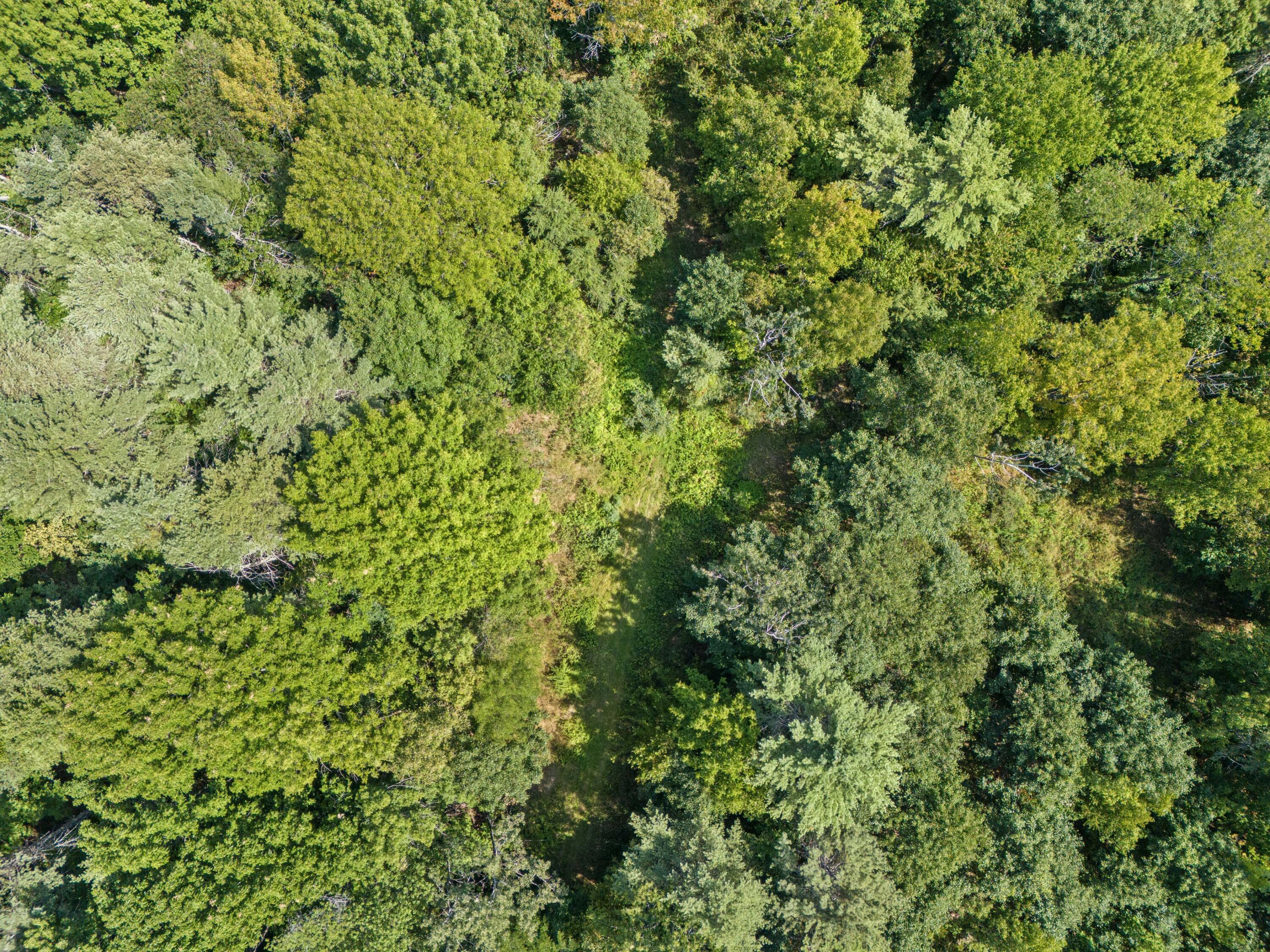 Lot 12 Hallowell Road Litchfield, ME 04350 - Photo 7 of 17 7