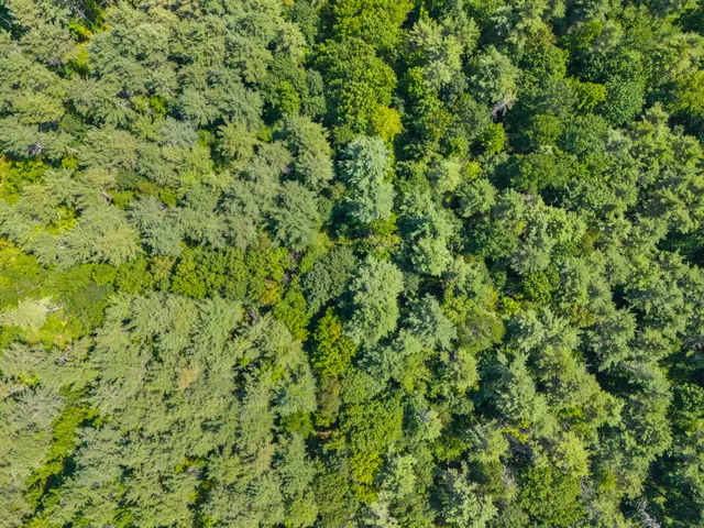 $225,000 | Lot 12 Hallowell Road, Litchfield, ME 04350