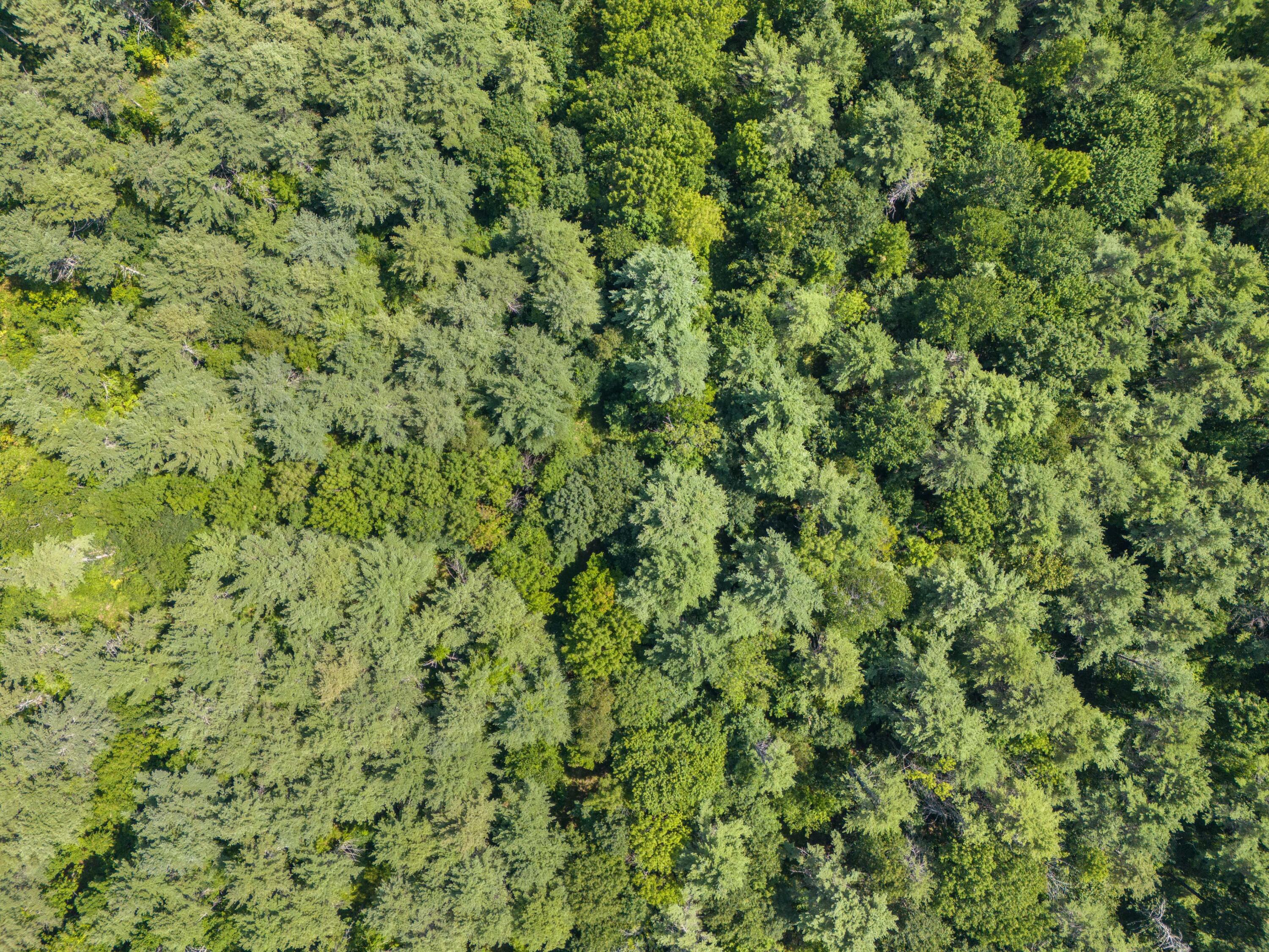 Lot 12 Hallowell Road Litchfield, ME 04350 - Photo 8 of 17 8