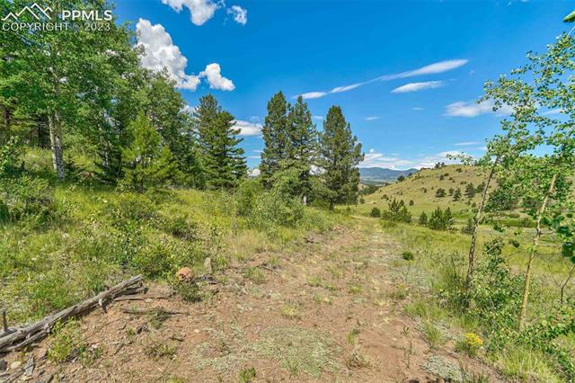 377 Cover Valley Road Guffey, CO 80820 - Photo 29 of 38 Gallery Image 29