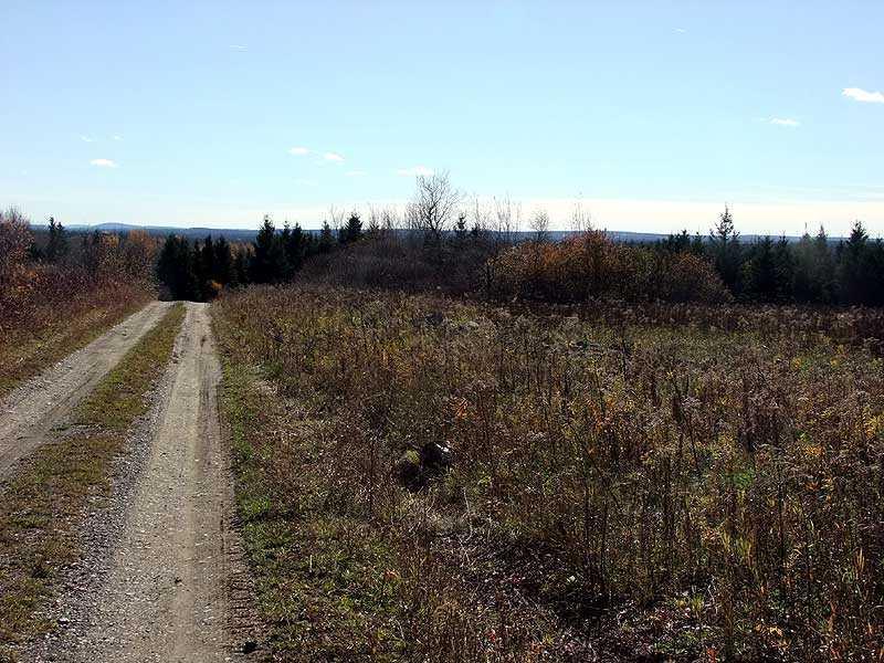12-29 Lincoln Road Houlton, ME 04730 - Photo 21 of 25 Land.