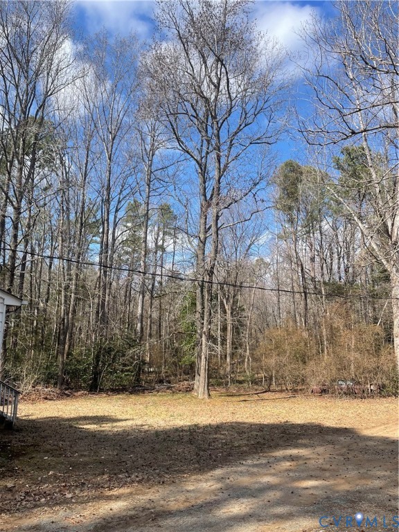 15227 Horseshoe Bridge Road Doswell, VA 23047 - Photo 4 of 5 a view of a yard with a house