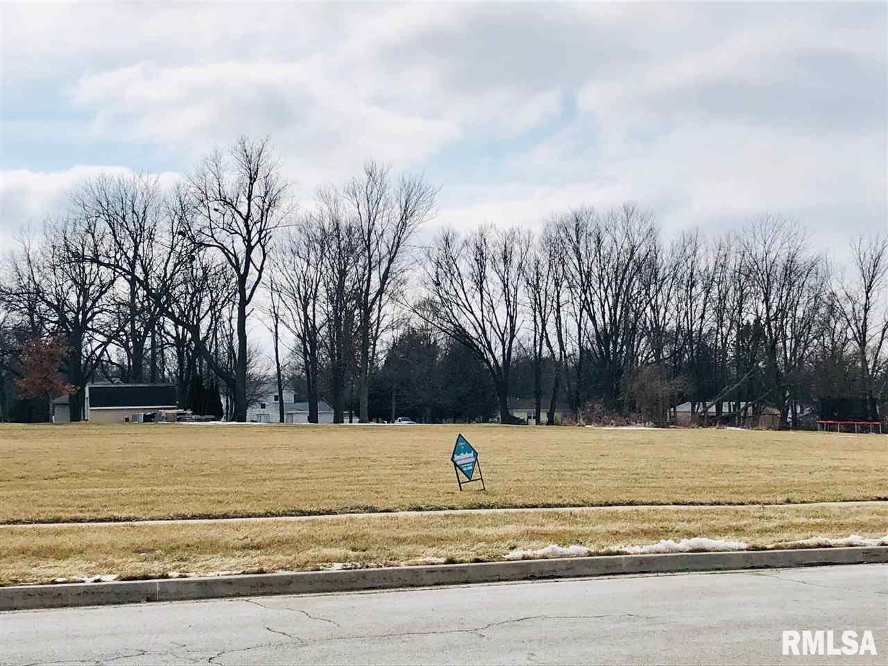 Lot 40 North Fairground Way Elmwood, IL 61529 - Photo 2 of 16