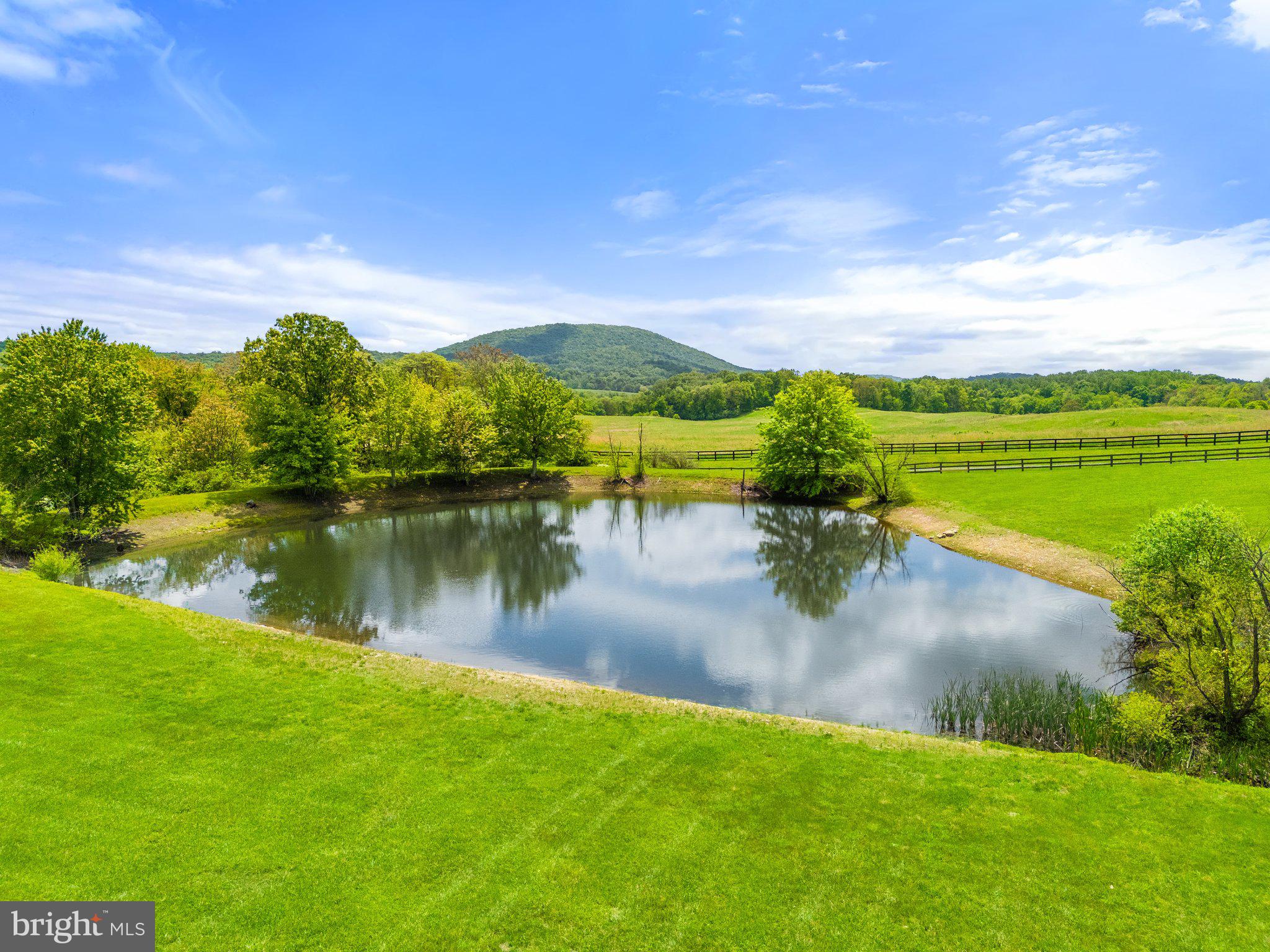 4392 Carrington Road Markham, VA 22643 - Photo 41 of 59 Lovely pond on the lower section of the farm