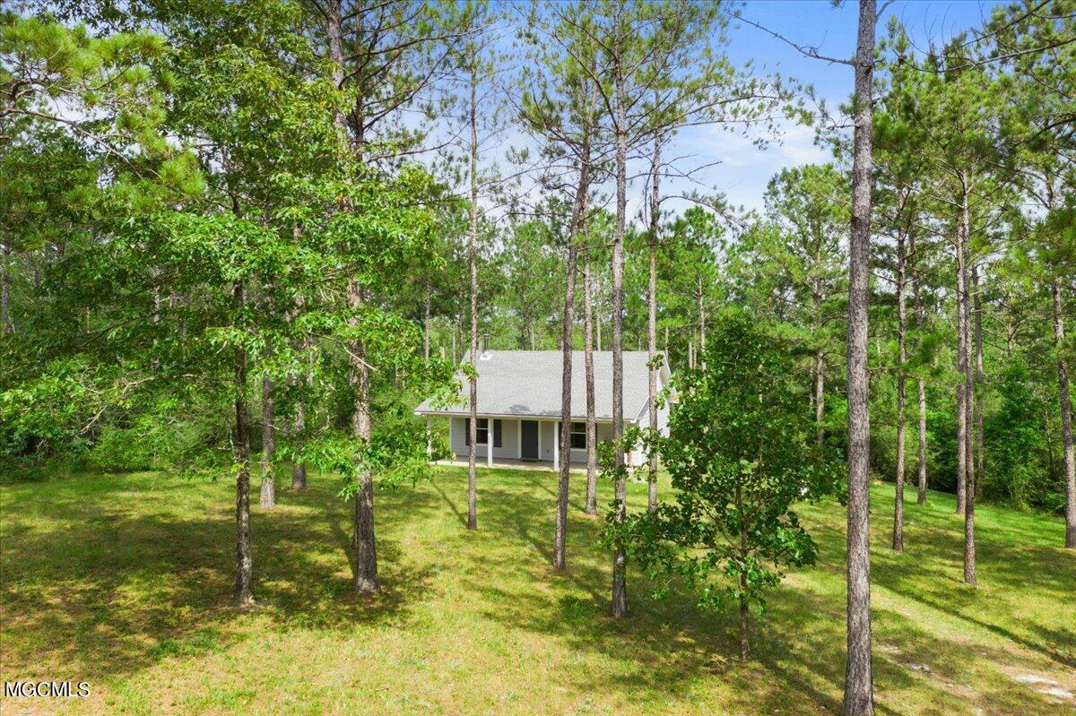 335 Mitchell Road Leakesville, MS 39451 - Photo 14 of 24 14-335 Mitchell Rd-114