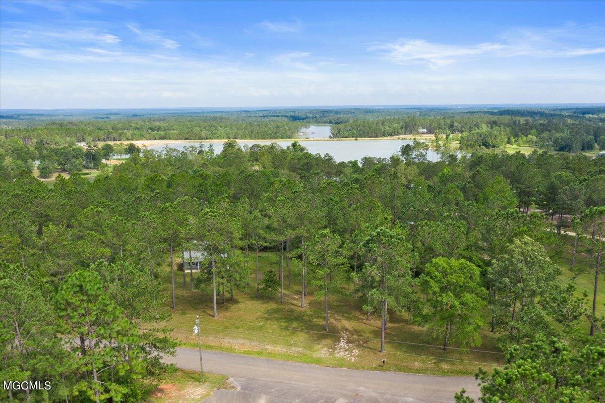 335 Mitchell Road Leakesville, MS 39451 - Photo 17 of 24 19-335 Mitchell Rd-119