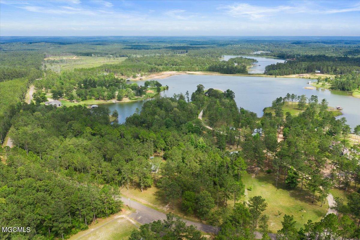 335 Mitchell Road Leakesville, MS 39451 - Photo 2 of 24 21-335 Mitchell Rd-121