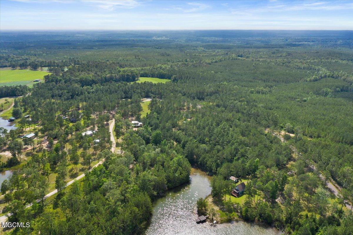 335 Mitchell Road Leakesville, MS 39451 - Photo 21 of 24 24-335 Mitchell Rd-124