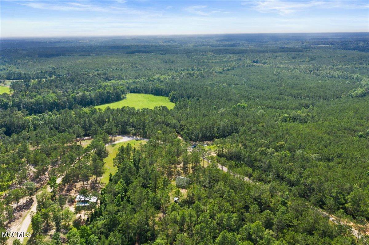 335 Mitchell Road Leakesville, MS 39451 - Photo 22 of 24 25-335 Mitchell Rd-125