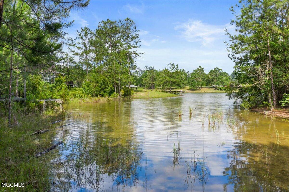 335 Mitchell Road Leakesville, MS 39451 - Photo 23 of 24 26-335 Mitchell Rd-126