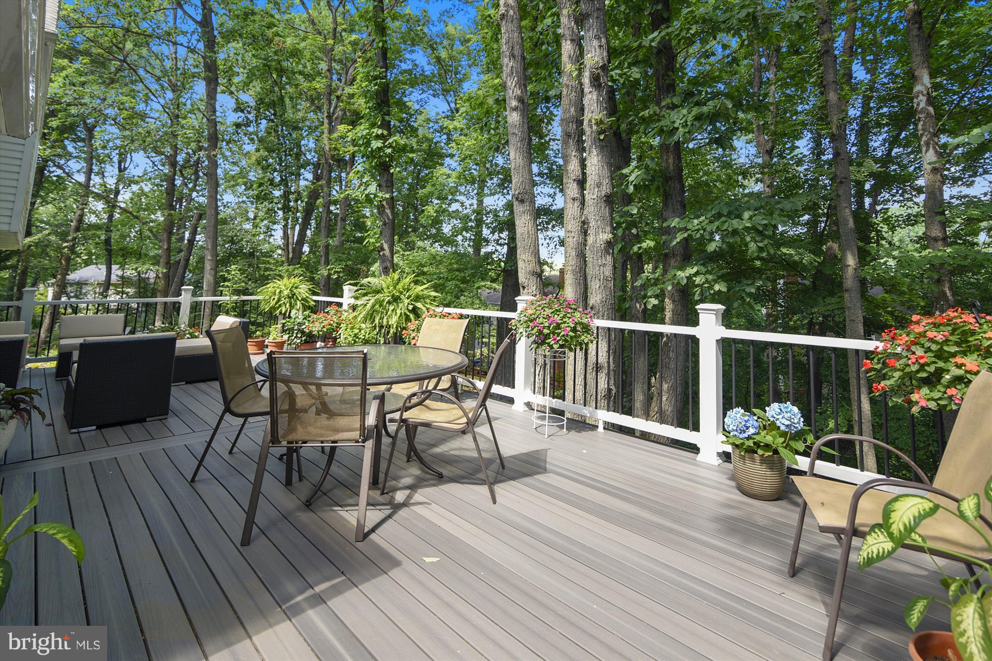 2017 Homer Terrace Reston, VA 20191 - Photo 2 of 30 Huge maintenance free deck