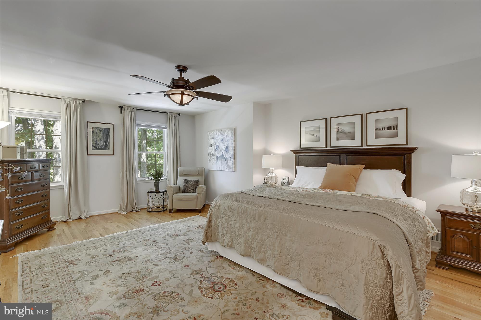 2017 Homer Terrace Reston, VA 20191 - Photo 14 of 30 HUGE master suite