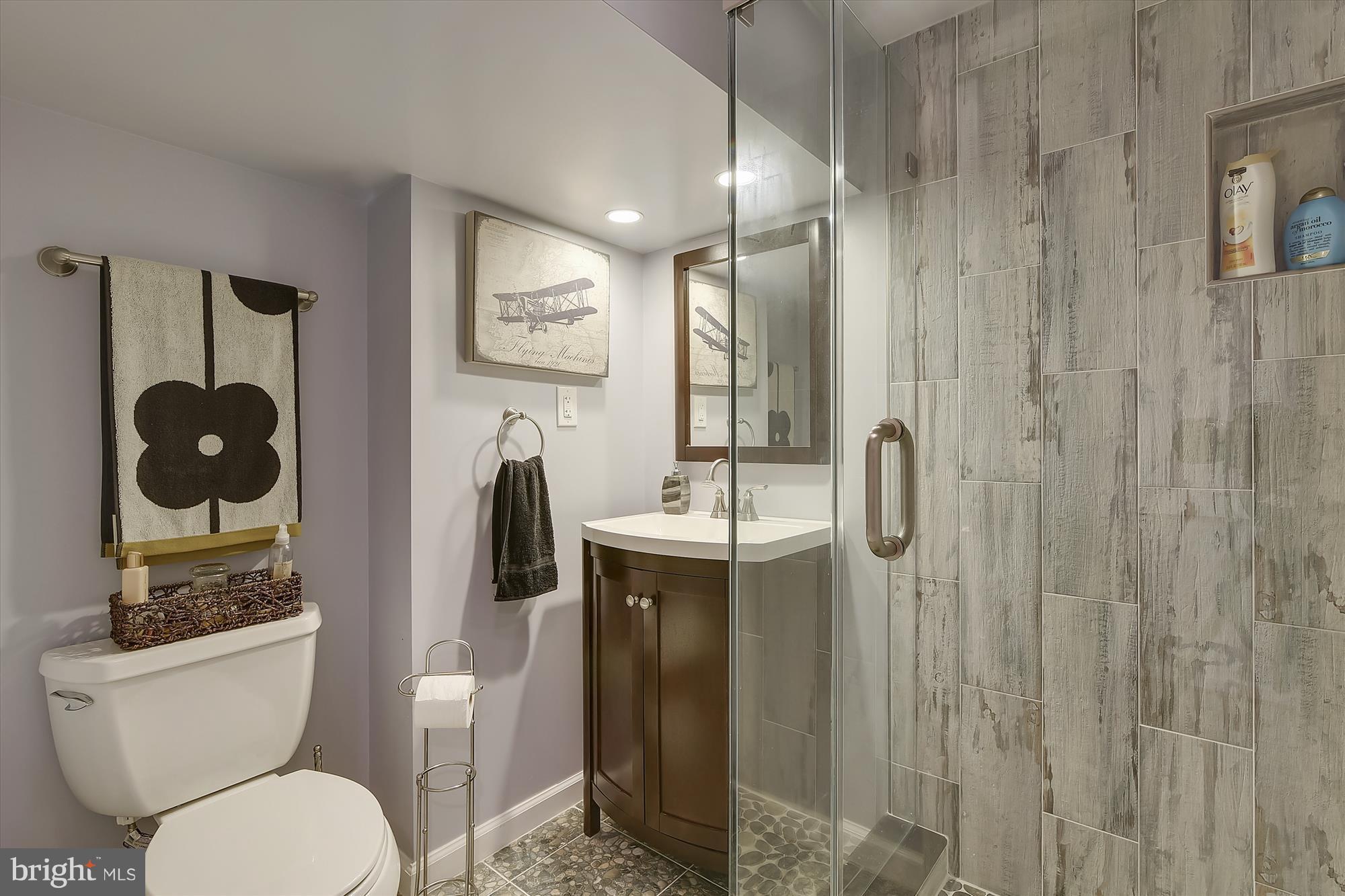 2017 Homer Terrace Reston, VA 20191 - Photo 23 of 30 Basement bath!