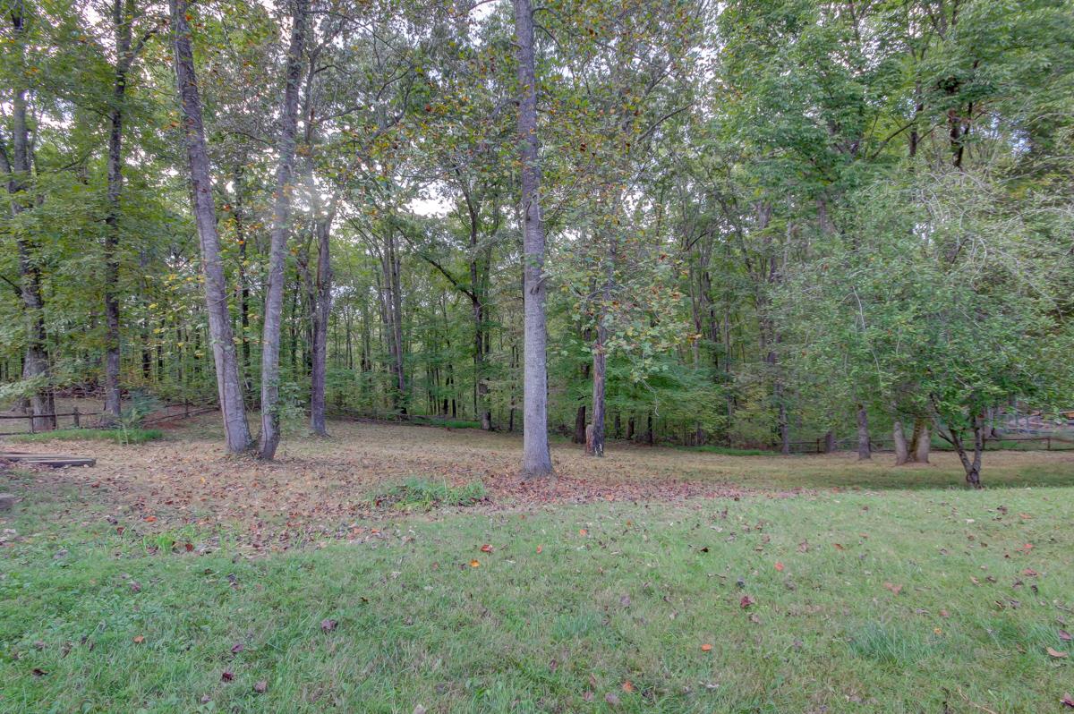 4312 Lake Road Woodlawn, TN 37191 - Photo 3 of 30 Gallery Image 3