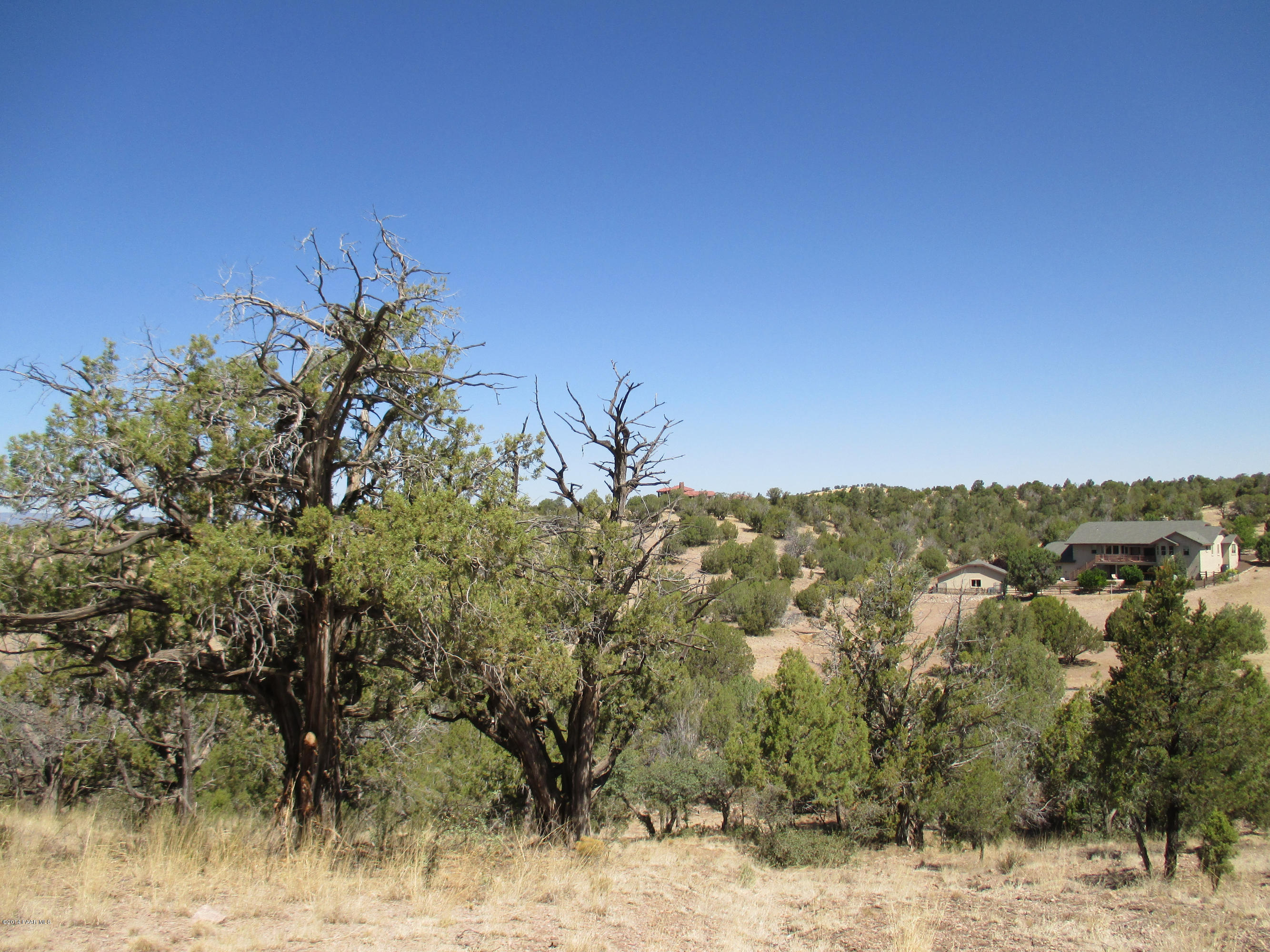 0 West Rambling Road Prescott, AZ 86305 - Photo 12 of 29 a view of a yard with a tree