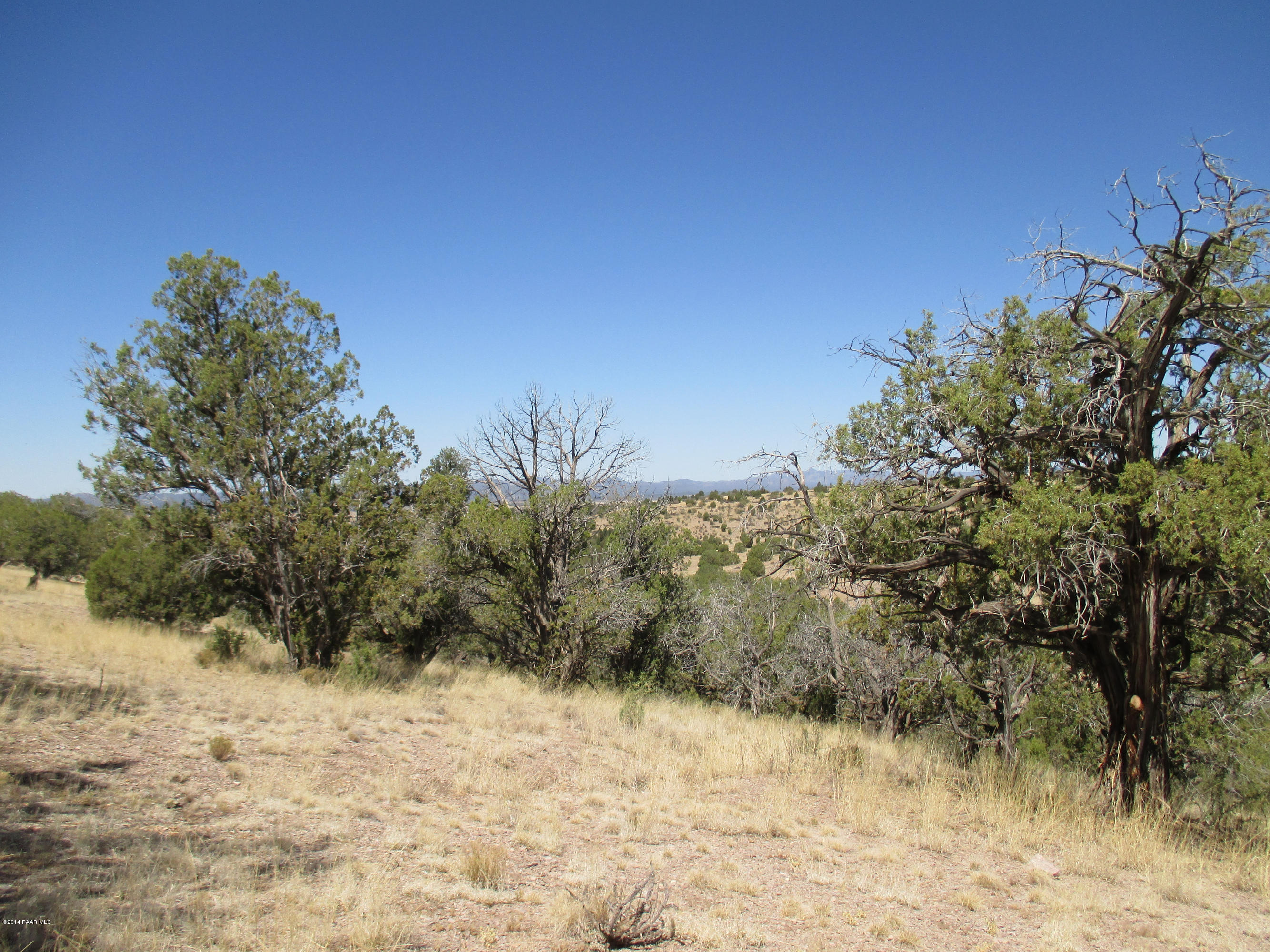 0 West Rambling Road Prescott, AZ 86305 - Photo 13 of 29 a view of a yard