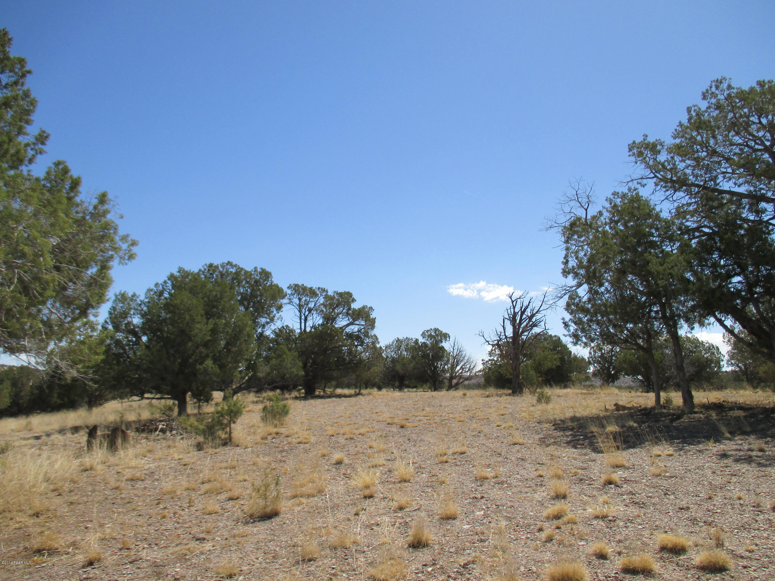 0 West Rambling Road Prescott, AZ 86305 - Photo 8 of 29 a view of a yard with a tree
