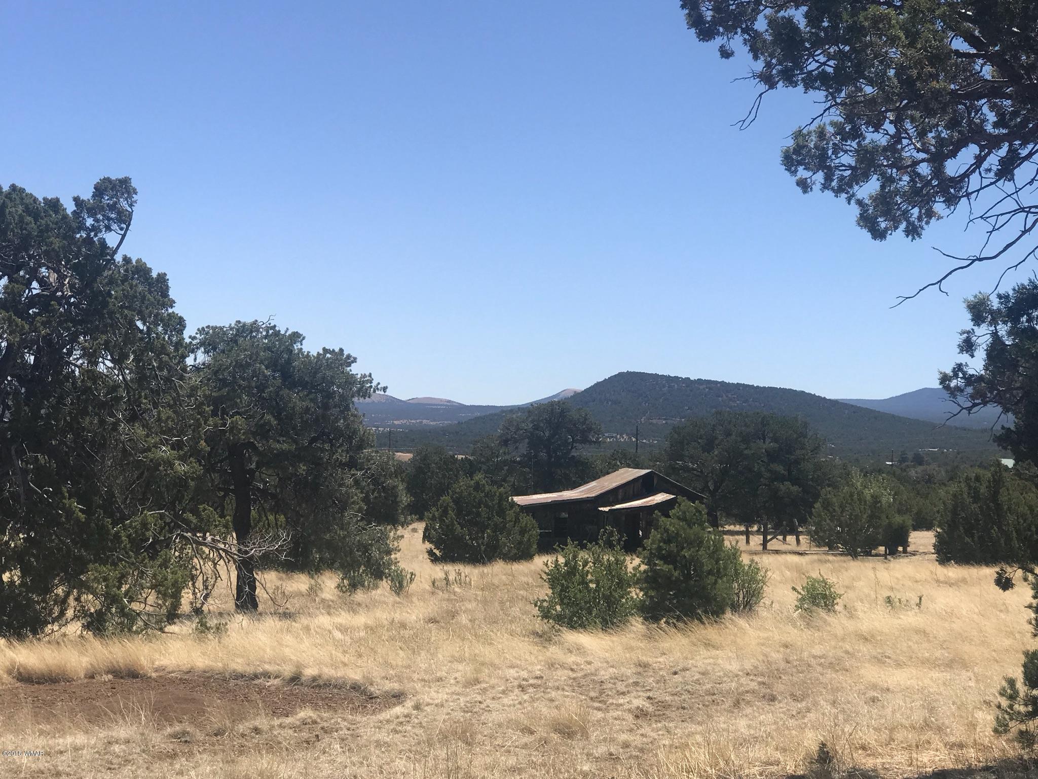 Tbd Tbd Timber Knoll Road Vernon, AZ 85940 - Photo 1 of 9
