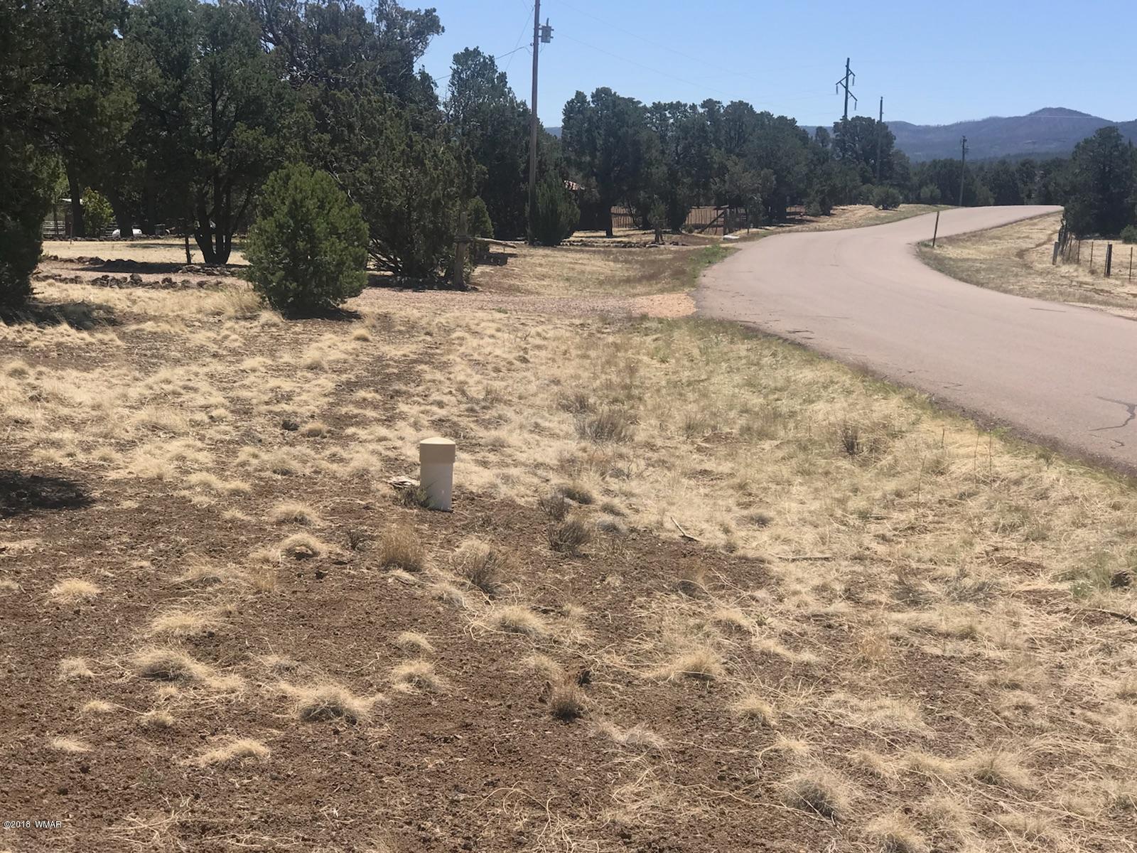 Tbd Tbd Timber Knoll Road Vernon, AZ 85940 - Photo 3 of 9
