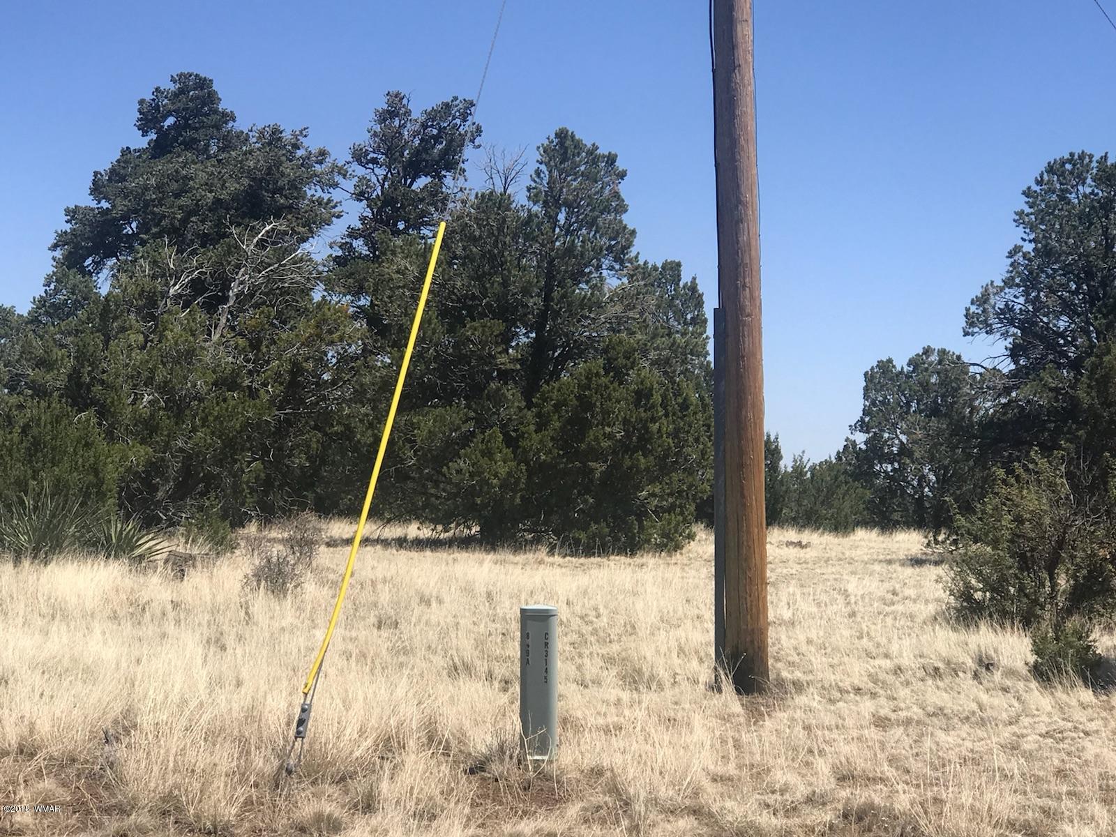 Tbd Tbd Timber Knoll Road Vernon, AZ 85940 - Photo 4 of 9