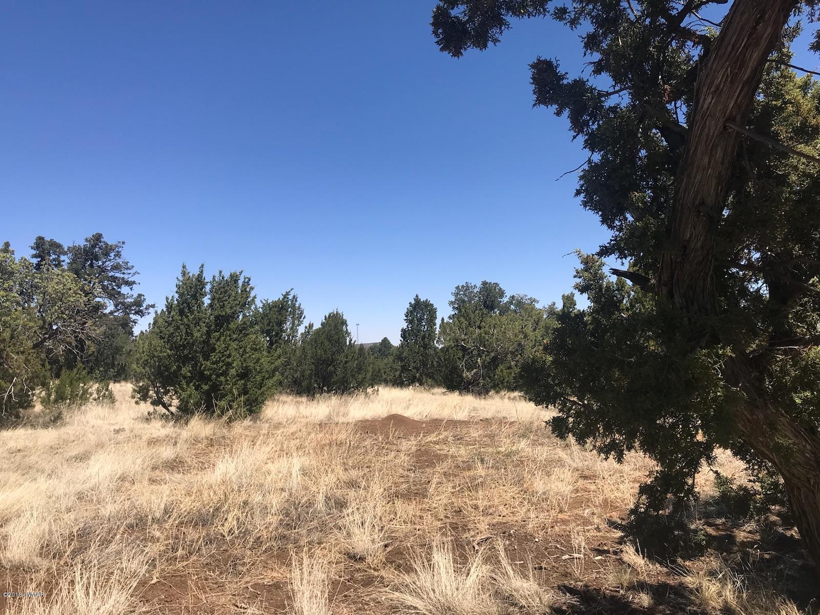 Tbd Tbd Timber Knoll Road Vernon, AZ 85940 - Photo 6 of 9