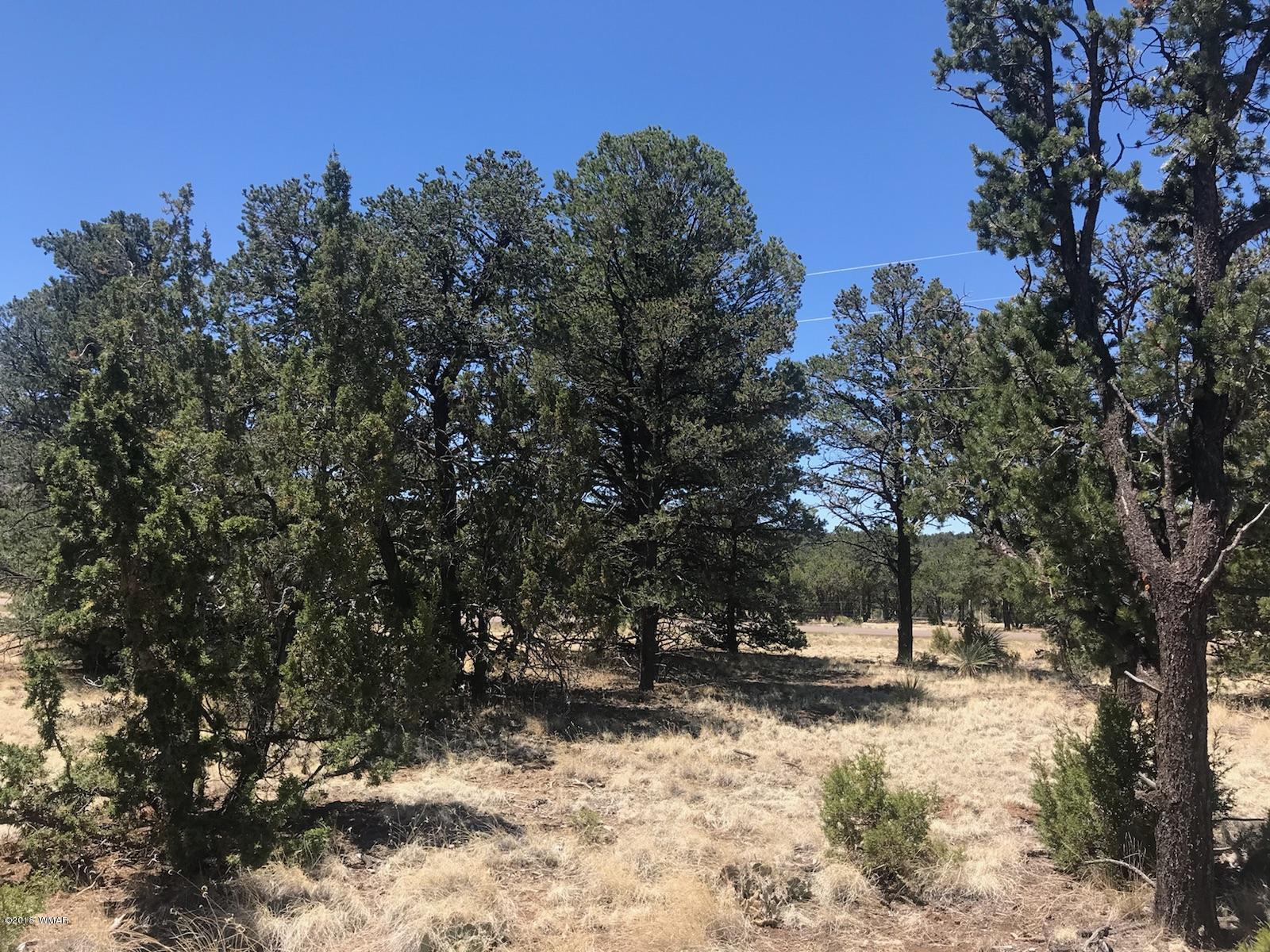 Tbd Tbd Timber Knoll Road Vernon, AZ 85940 - Photo 7 of 9