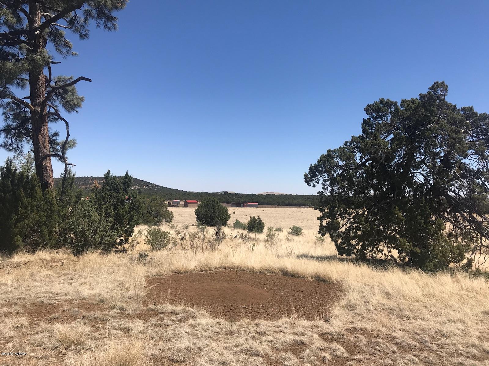 Tbd Tbd Timber Knoll Road Vernon, AZ 85940 - Photo 8 of 9