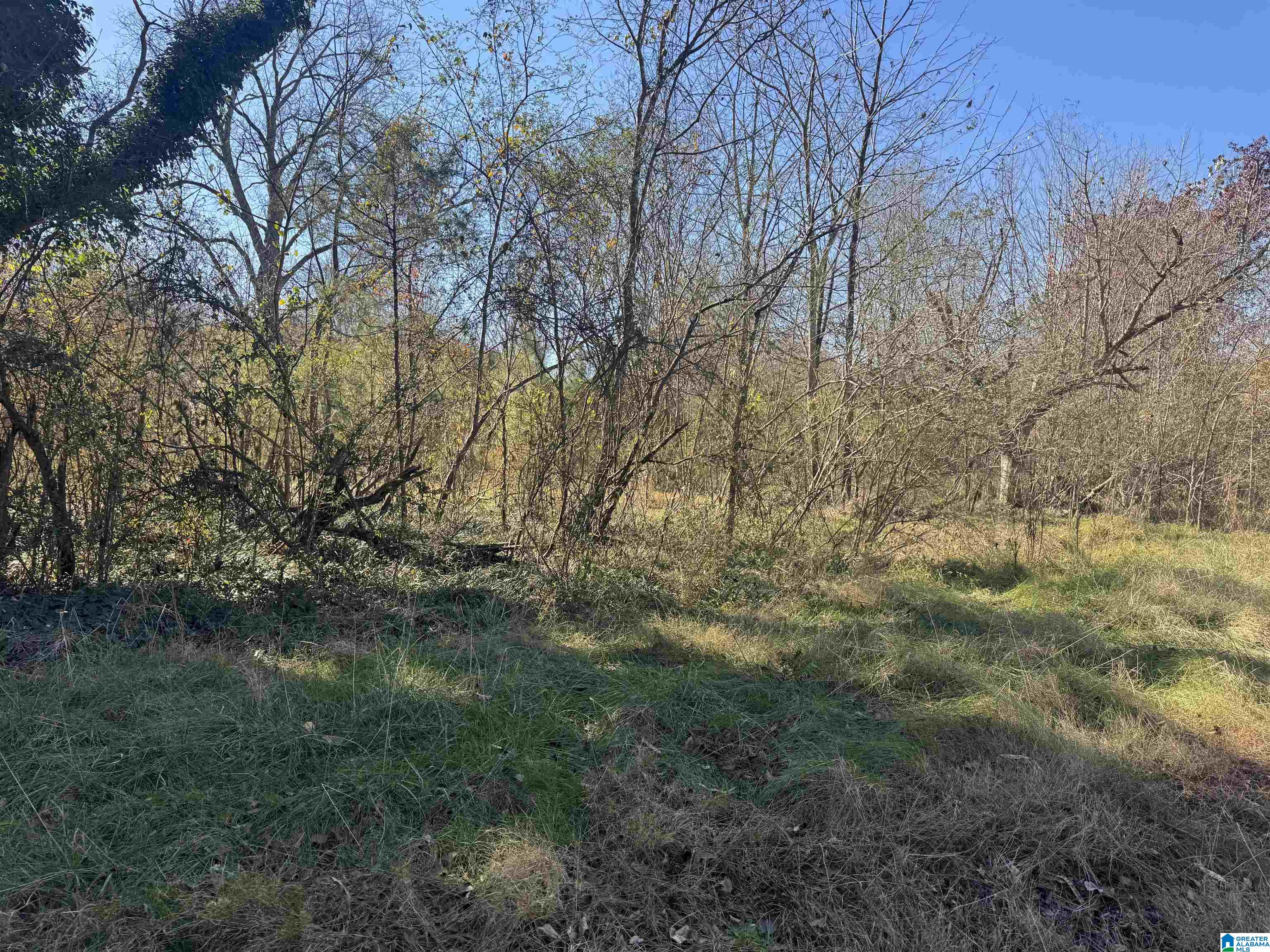 0 Glade Road, Unit 1 Anniston, AL 36206 - Photo 8 of 30