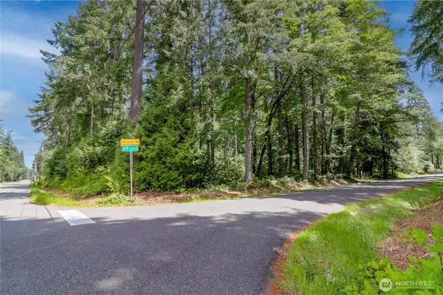 a view of a yard with plants and trees