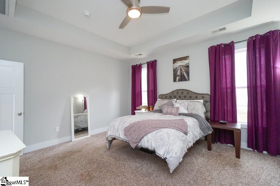 203 Meritage Street Greer, SC 29651 - Photo 17 of 31 Gallery Image 17
