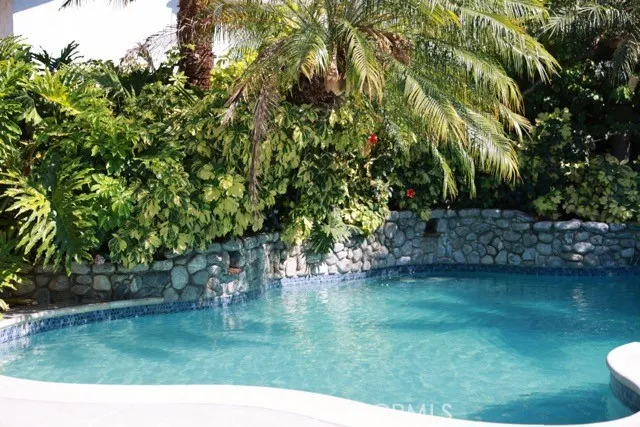 a view of a palm trees