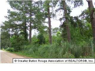16700 Spring Ranch Road Livingston, LA 70754 - Photo 1 of 3 Gallery Image 1