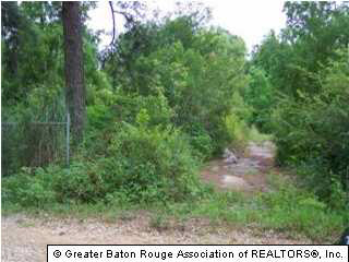16700 Spring Ranch Road Livingston, LA 70754 - Photo 3 of 3 Gallery Image 3