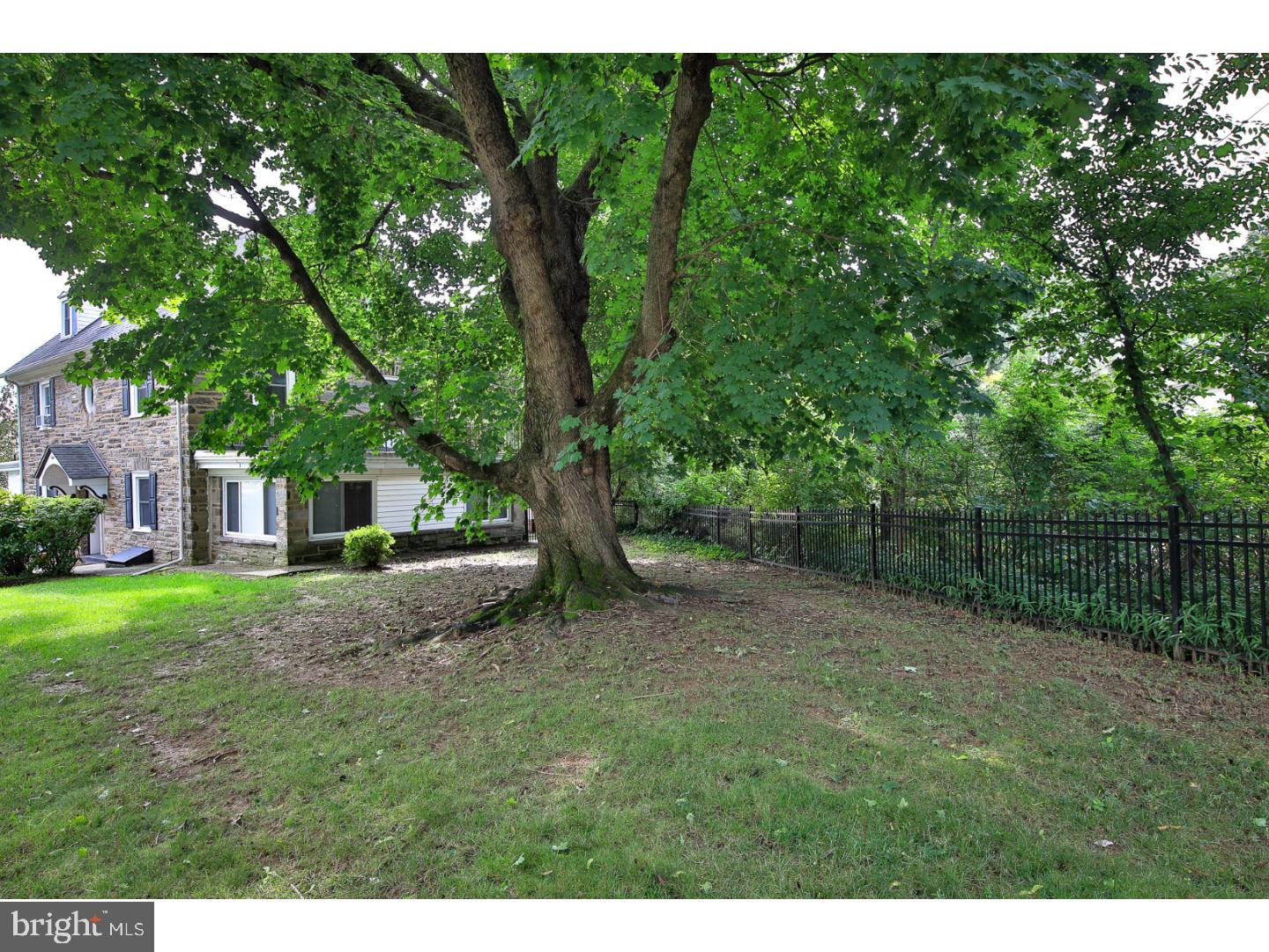 644 Arbor Road Cheltenham, PA 19012 - Photo 23 of 25 Side Yard