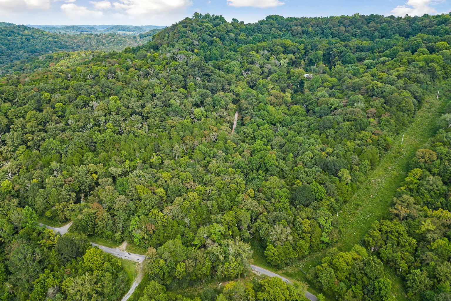 1420 Big Branch Road Granville, TN 38564 - Photo 19 of 57 Gallery Image 19