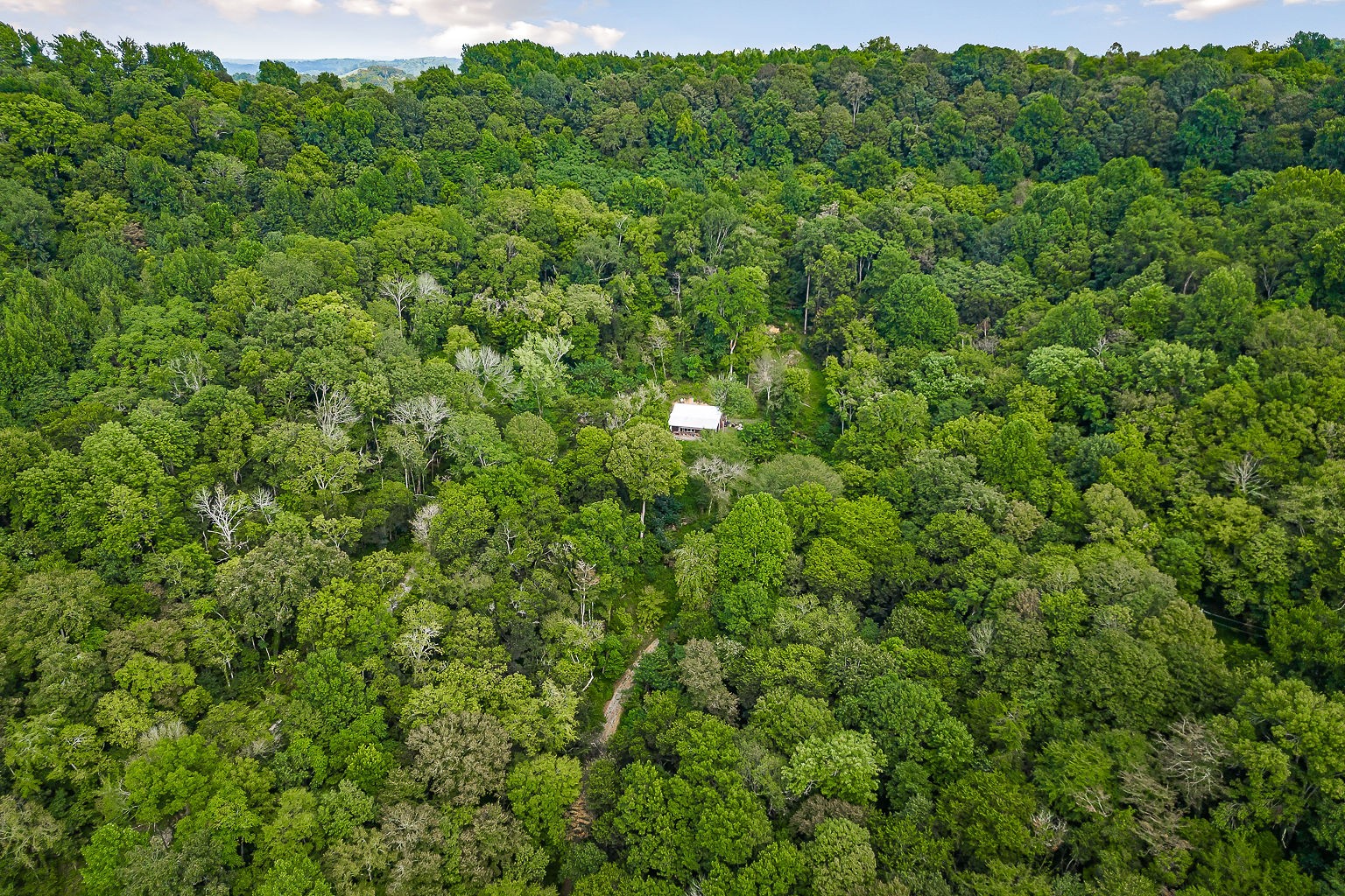 1420 Big Branch Road Granville, TN 38564 - Photo 21 of 57 Gallery Image 21