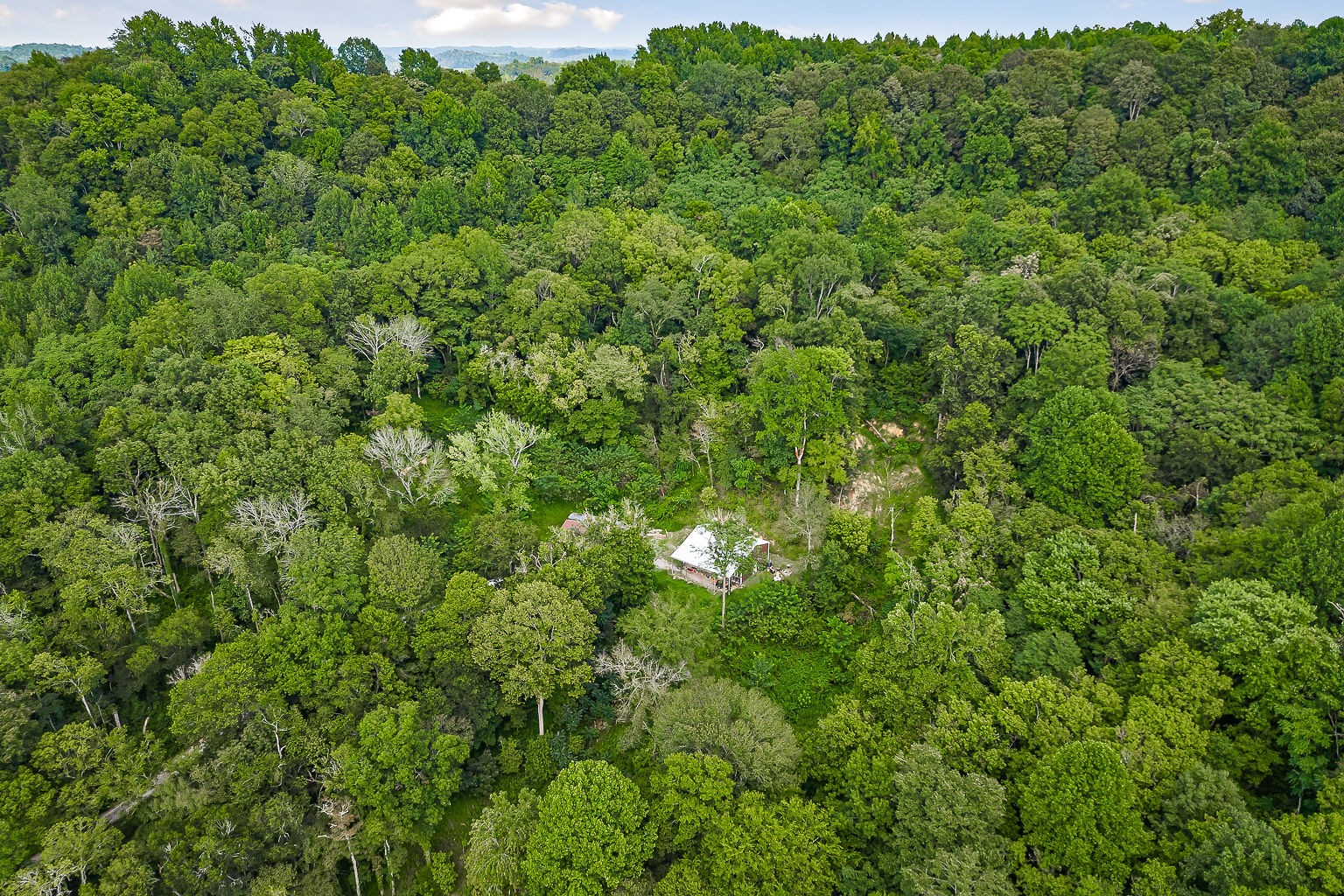 1420 Big Branch Road Granville, TN 38564 - Photo 22 of 57 Gallery Image 22