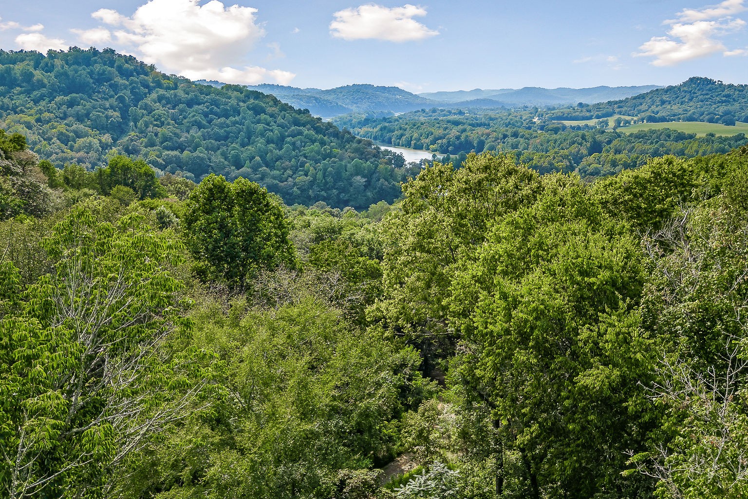 1420 Big Branch Road Granville, TN 38564 - Photo 6 of 57 Gallery Image 6