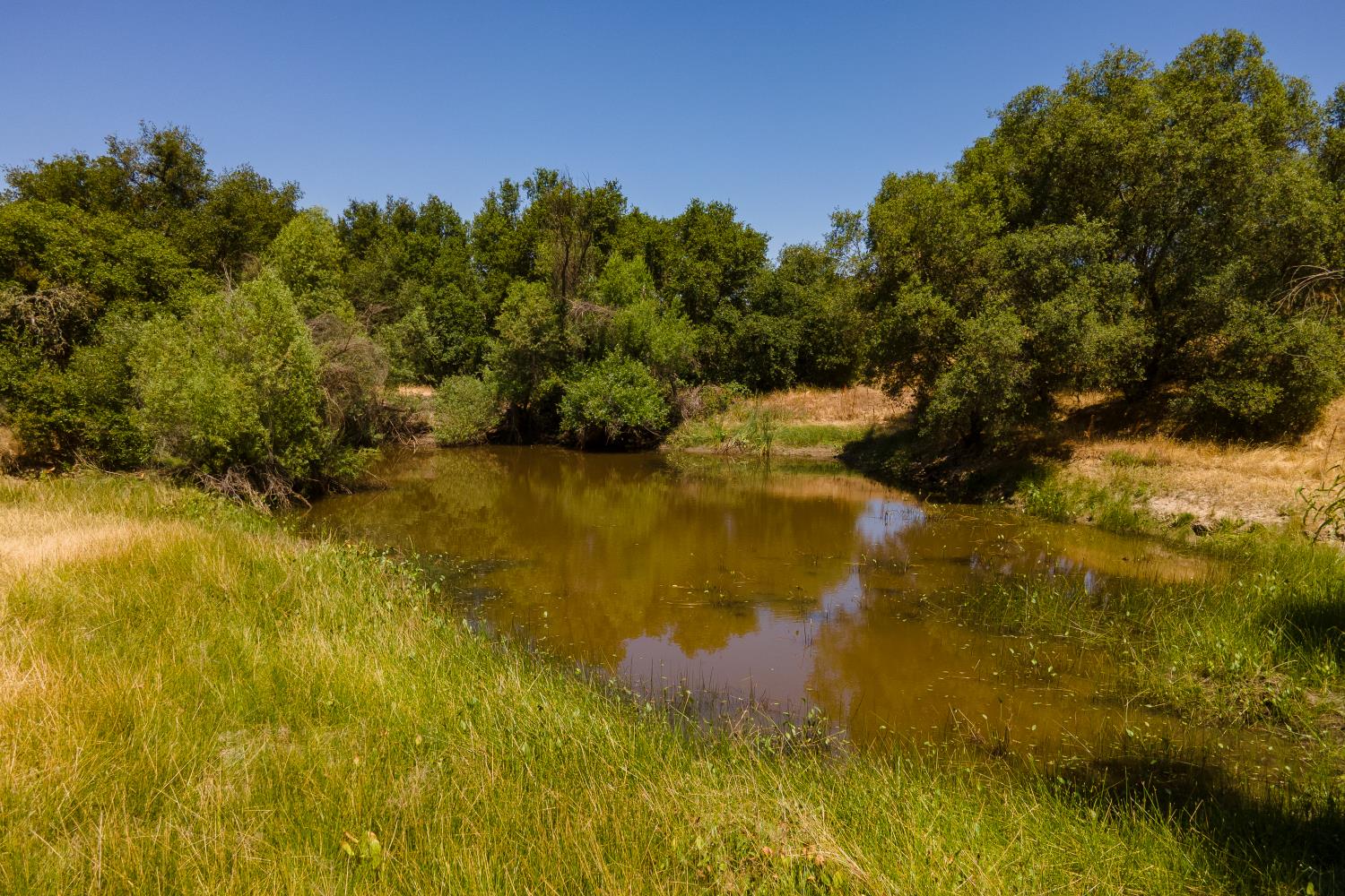 0 Stony Creek Road Ione, CA 95640 - Photo 21 of 70