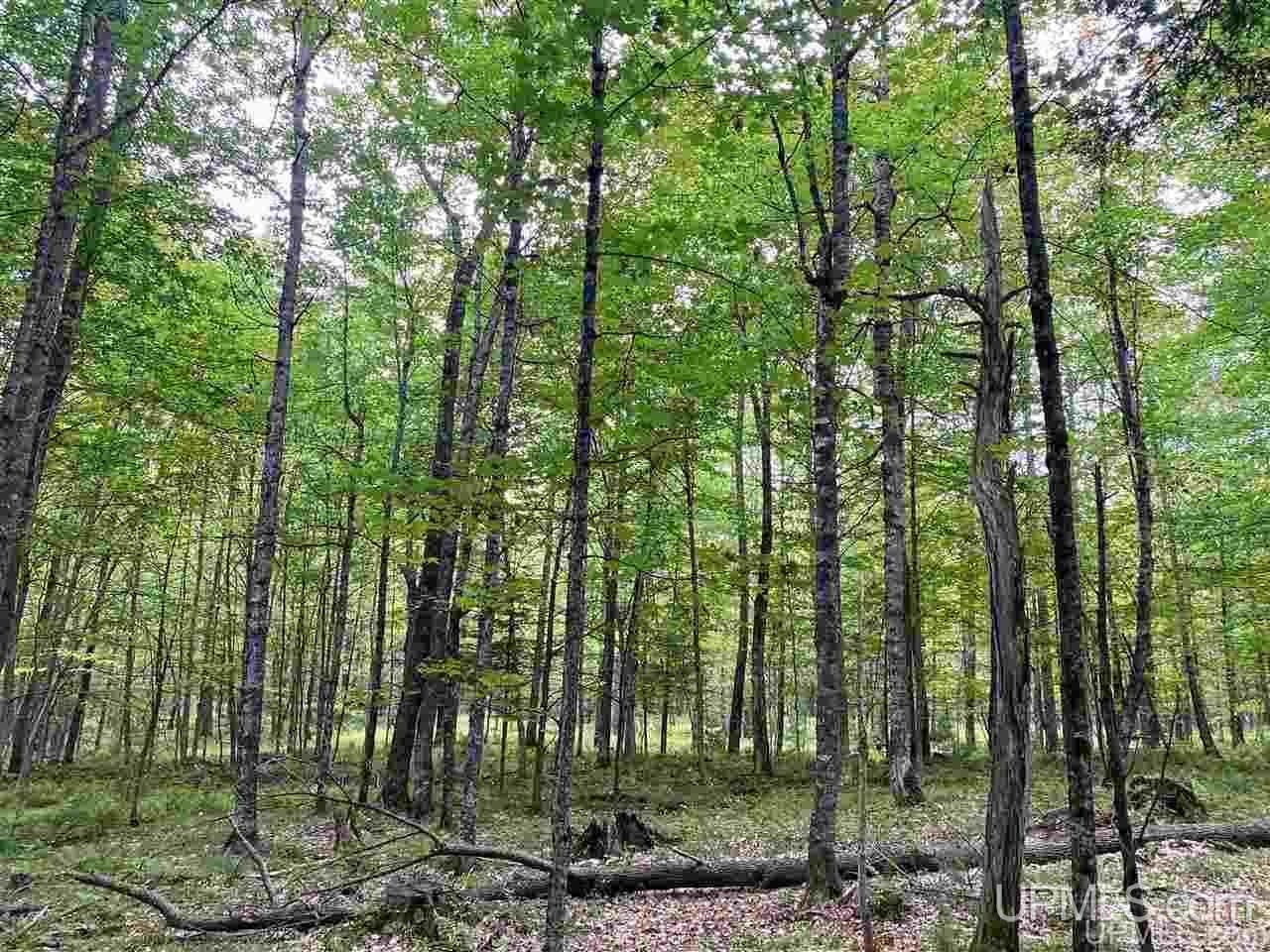 Tbd Tbd Grace Lake Road Watersmeet, MI 49969 - Photo 16 of 16