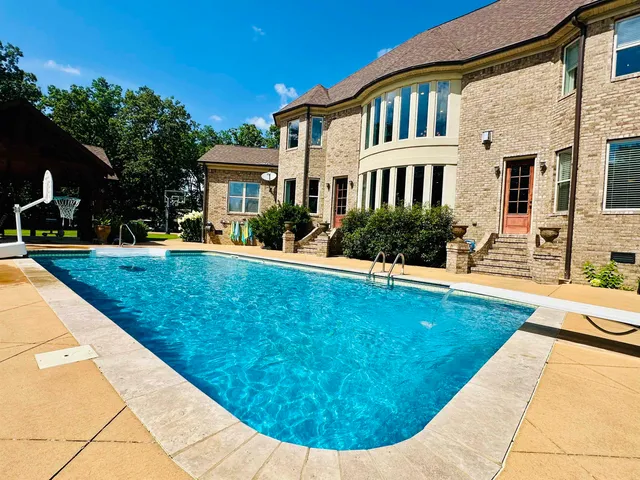 a bunch of flowers in a garden